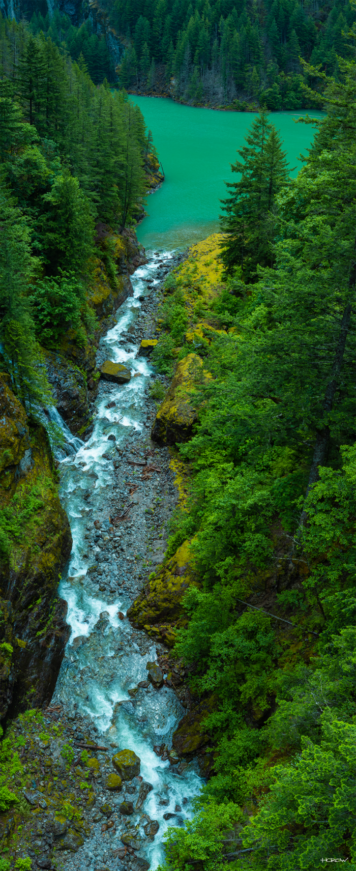 Verdant