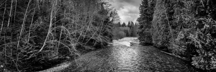 The River