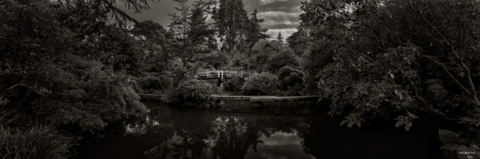 Moon Bridge