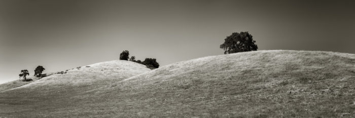 Field under Sunlight