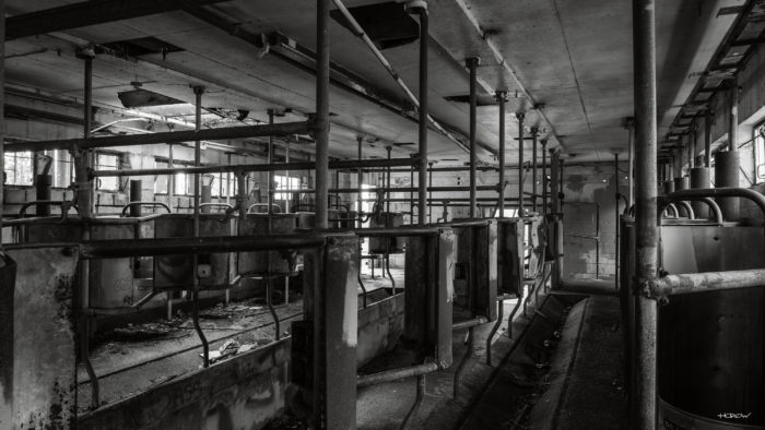 Pens in the Asylum
