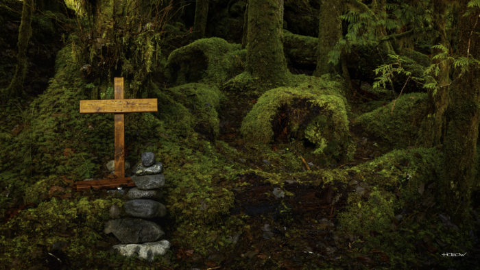 Mossy Remembrance