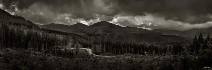 Logging Road