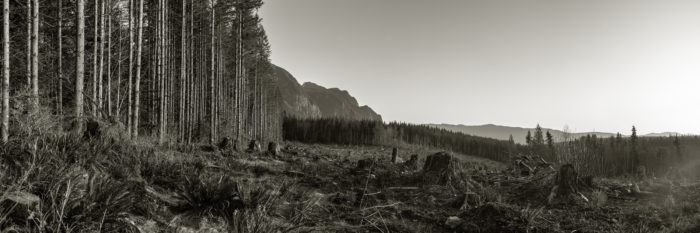 Clearing