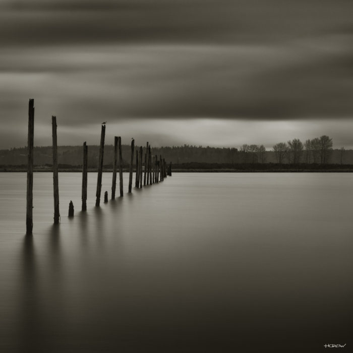 Pier Posts #5