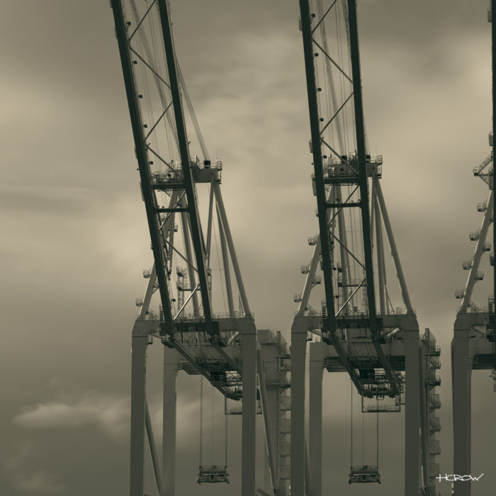 Giraffes - Platinum