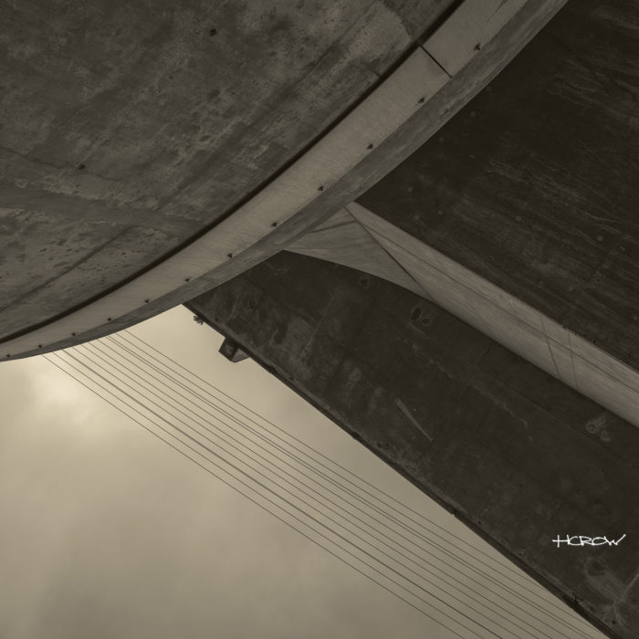 Plant in Concrete - Platinum