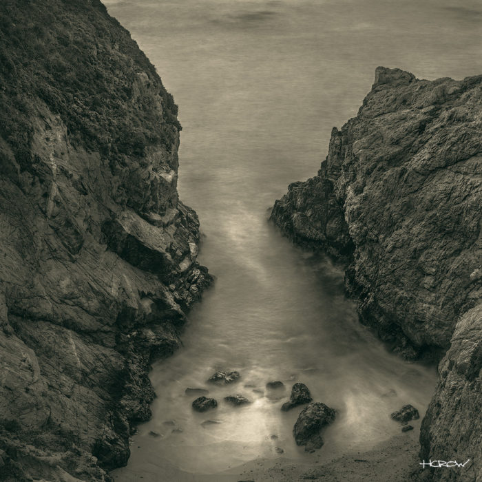 Whale Point - Platinum