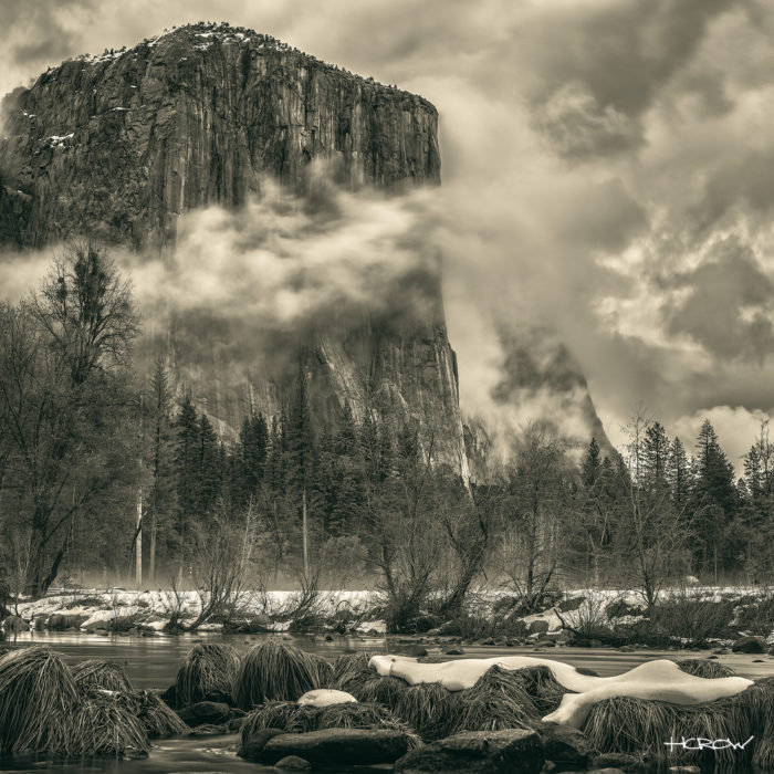 Cloud Passage - Platinum