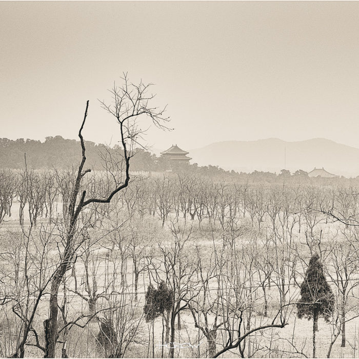 Farm Jizhou - Platinum