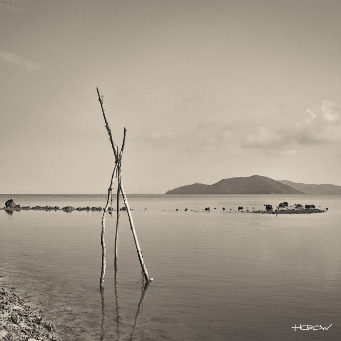 Three Sticks - Platinum